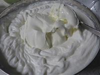 IMG_3395