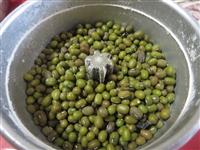 fagioli-zuki-verdi-2