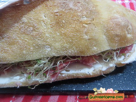 Panino farcito salame germogli alfa alfa