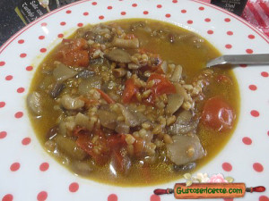 Zuppa di enkir ai funghi porcini 
