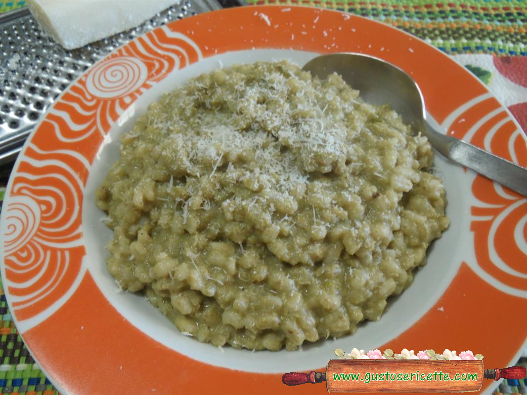 Orzotto fave e pecorino