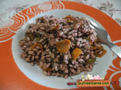 Orzotto acetosa rossa e scamorza di bufala