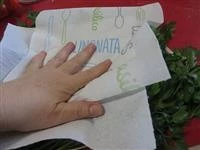 lavarlo sotto acqua corrente e tamponarlo con delicatezza con carta assorbente da cucina per asciugarlo.