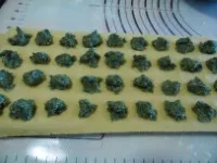 Riempire lo stampo con il ripieno di pollo e bieta per i ravioli